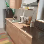 Bulle Tropicale Jungle *