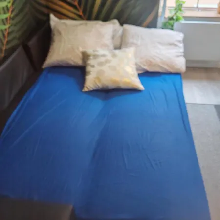 Bulle Tropicale Jungle 아파트