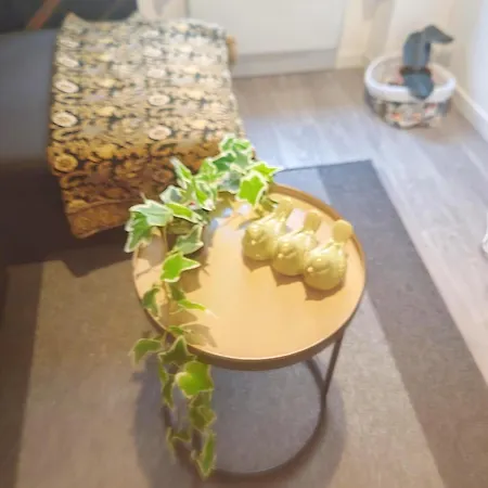 Апартаменты Bulle Tropicale Jungle