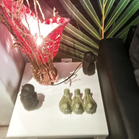 Апартаменты Bulle Tropicale Jungle Клермон-Ферран