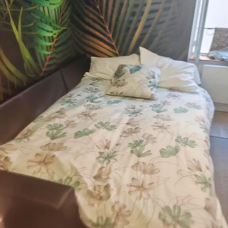 Bulle Tropicale Jungle 아파트 클레르몽페랑