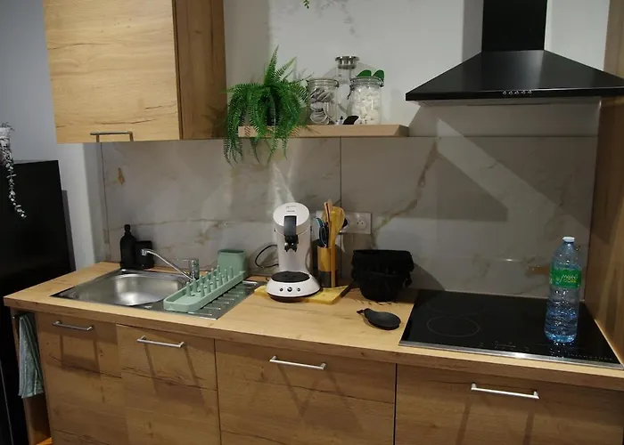 Bulle Tropicale Jungle Апартаменты Клермон-Ферран