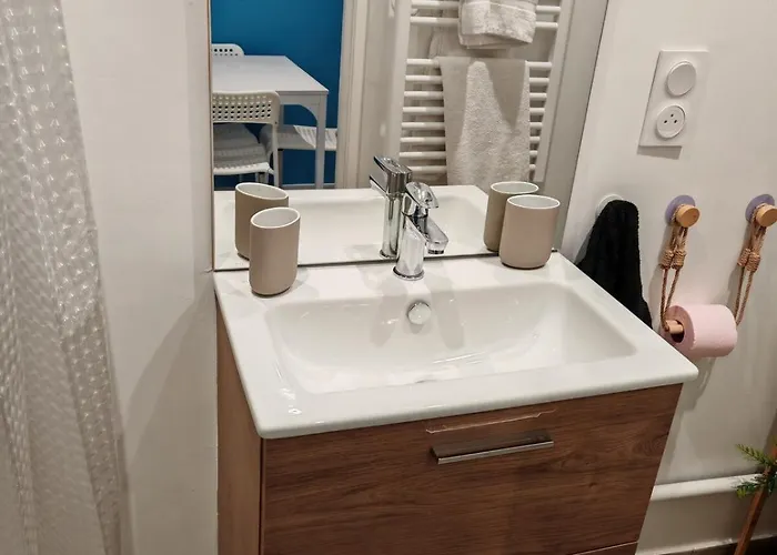 Bulle Tropicale Jungle Апартаменты Клермон-Ферран