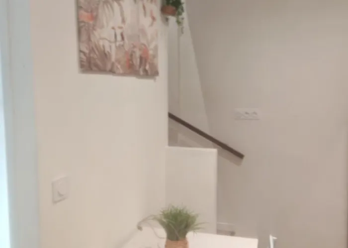 Апартаменты Bulle Tropicale Jungle *