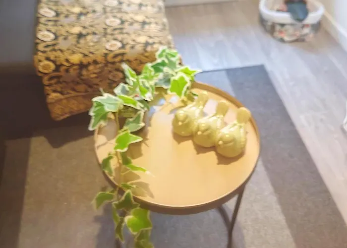 Апартаменты Bulle Tropicale Jungle