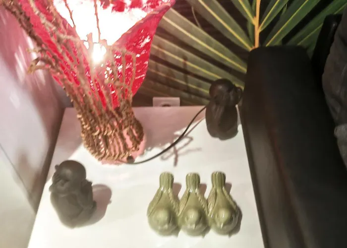 Апартаменты Bulle Tropicale Jungle Клермон-Ферран