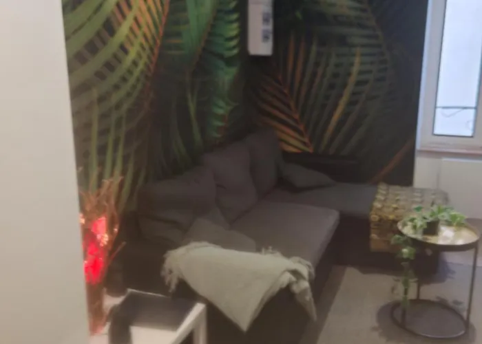 Bulle Tropicale Jungle Клермон-Ферран