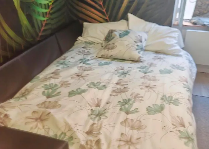 Bulle Tropicale Jungle Апартаменты Клермон-Ферран